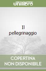 Il pellegrinaggio libro