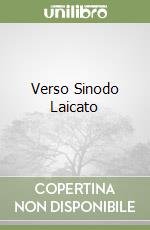 Verso Sinodo Laicato libro