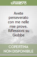 Avete perseverato con me nelle mie prove. Riflessioni su Giobbe