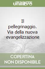 Il pellegrinaggio. Via della nuova evangelizzazione libro