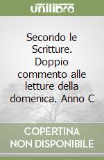 Secondo le Scritture. Doppio commento alle letture della domenica. Anno C libro