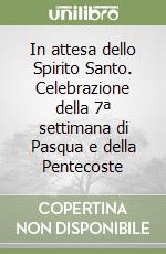 In attesa dello Spirito Santo. Celebrazione della 7ª settimana di Pasqua e della Pentecoste libro