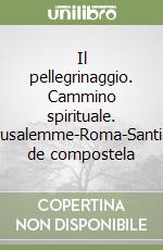 Il pellegrinaggio. Cammino spirituale. Gerusalemme-Roma-Santiago de compostela libro