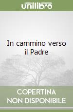 In cammino verso il Padre libro