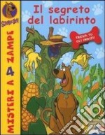 Il segreto del labirinto libro