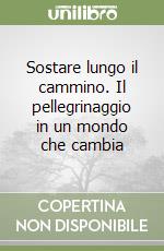 Sostare lungo il cammino. Il pellegrinaggio in un mondo che cambia libro