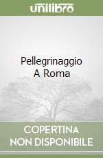 Pellegrinaggio A Roma libro