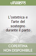 L'ostetrica e l'arte del sostegno durante il parto libro