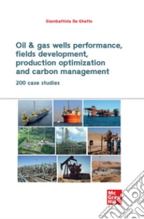 Oil & gas wells performance, fields development, production optimization and carbon management. 200 CASE STUDIES