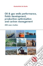 Oil & gas wells performance, fields development, production optimization and carbon management. 200 CASE STUDIES libro