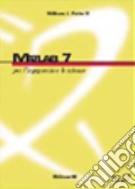 Matlab 7. Per l'ingegneria e le scienze libro