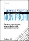 Il governo strategico delle organizzazione non profit libro