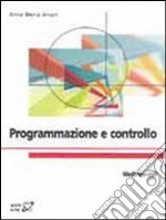 Programmazione e controllo libro