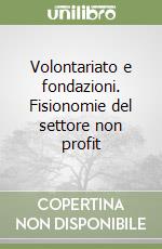 Volontariato e fondazioni. Fisionomie del settore non profit