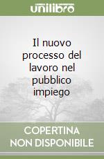Il nuovo processo del lavoro nel pubblico impiego libro