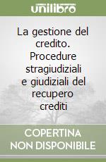 La gestione del credito. Procedure stragiudiziali e giudiziali del recupero crediti libro