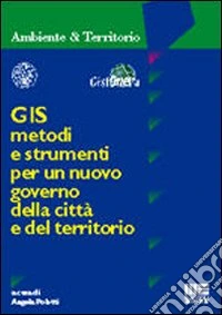 GIS. Metodi e strumenti per un nuovo governo della città e del territorio libro