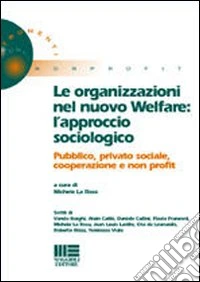 Le organizzazioni nel nuovo welfare. L'approccio sociologico pubblico, privato, sociale. Cooperazione e non profit libro