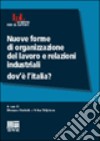 Nuove forme di organizzazione del lavoro e relazioni industriali. Dove L'Italia? libro