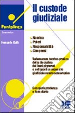 Il custode giudiziale. Nomina, poteri, doveri, responsabilità