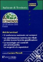 La valorizzazione termica dei rifiuti: pirolisi, incenerimento, gassificazione. 5ª Conferenza nazionale libro