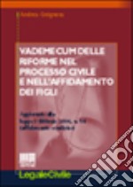 Vademecum delle riforme nel processo civile e nell'affidamento dei figli libro