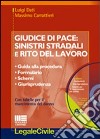 Giudice di pace. Sinistri stradali e rito del lavoro. Con CD-ROM libro