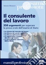 Il consulente del lavoro