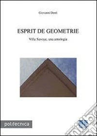 Esprit de geometrie