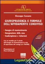 Giurisprudenza e formule dell'affidamento condiviso libro