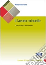 Il lavoro minorile. Conoscere il fenomeno libro