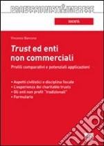 Trust ed enti non commerciali. Profili comparativi e potenziali applicazioni