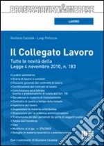 Il collegato lavoro libro