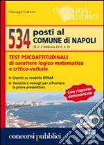 Cinquecentotrentaquattro posti al comune di Napoli libro