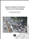 Incidenti a motocicli in provincia di Brescia. Cause e fenomenologia libro