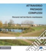 Attraverso paesaggi complessi. Percorsi nel territorio mantovano