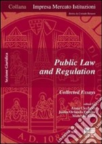 Public law and regulation. Collected essays libro