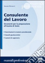 Consulente del lavoro. Strumenti per la preparazione all'esame di Stato