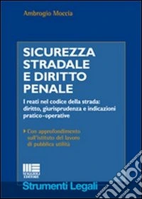 Sicurezza stradale e diritto penale
