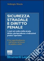 Sicurezza stradale e diritto penale libro