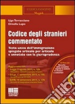 Codice degli stranieri commentato. Testo unico dell'immigrazione spiegato articolo per articolo e annotato con la giurisprudenza. Con CD-ROM libro