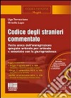 Codice degli stranieri commentato. Testo unico dell'immigrazione spiegato articolo per articolo e annotato con la giurisprudenza. Con CD-ROM libro