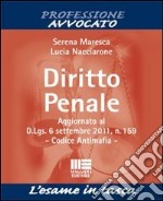 Diritto penale libro