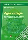 Agro-energia. Valutare il potenziale delle aree rurali per la sostenibilità degli impianti per la produzione di energia rinnovabile libro