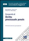Compendio di diritto processuale penale libro di Barbuto Giorgio Luerti Simone Pilla Vittorio