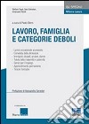 Riforma lavoro. Vol. 2: Lavoro; famiglia e categorie deboli libro di Stern Paolo