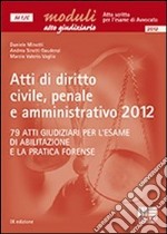 Atti di diritto civile; penale e amministrativo 2012 libro