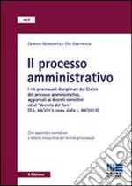 Il processo amministrativo