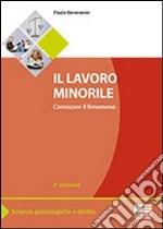 Il lavoro minorile libro