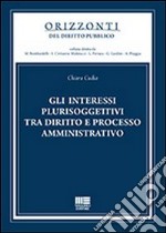 Gli interessi plurisoggettivi tra diritto e processo amministrativo libro